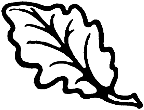 Dark Oak Leaf Coloring Page